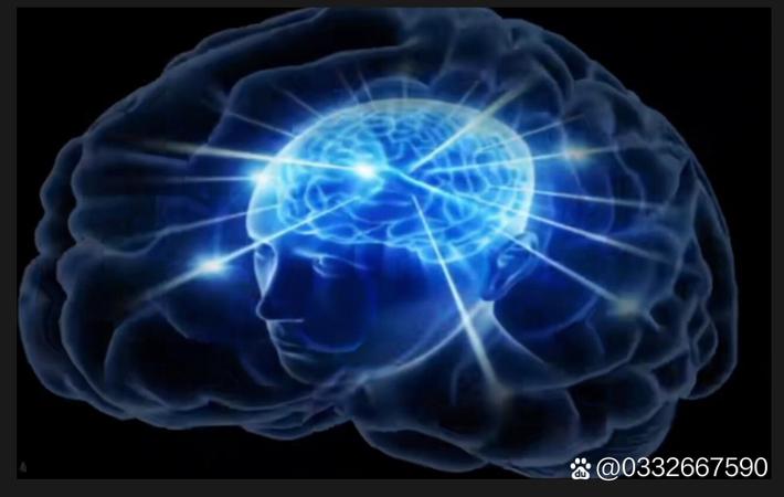 资深行业观察者分享：亚星游艇布局高端市场的实战经验与趋势分析